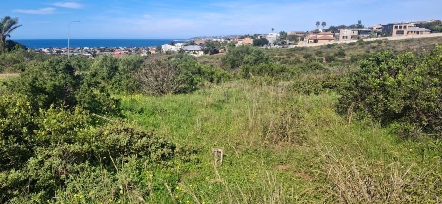 0 Bedroom Property for Sale in Hartenbos Heuwels Western Cape